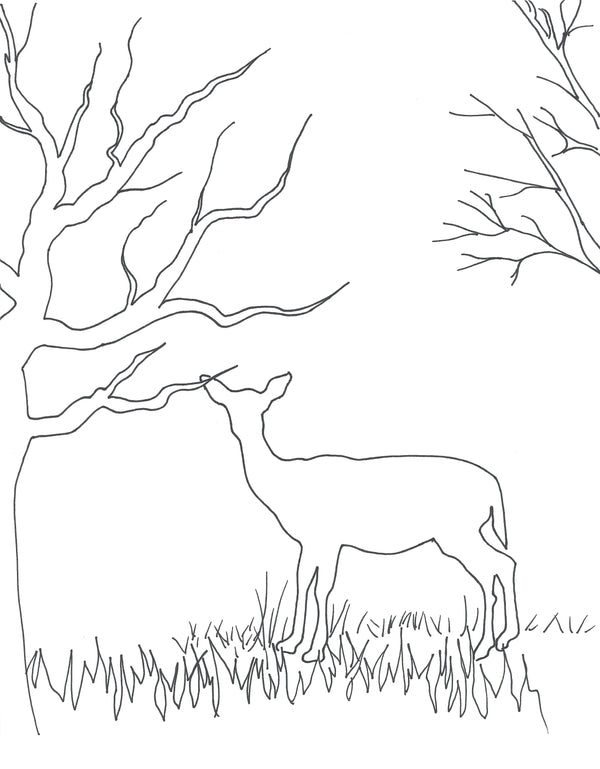 Deer and Elk Couples Paint Kit