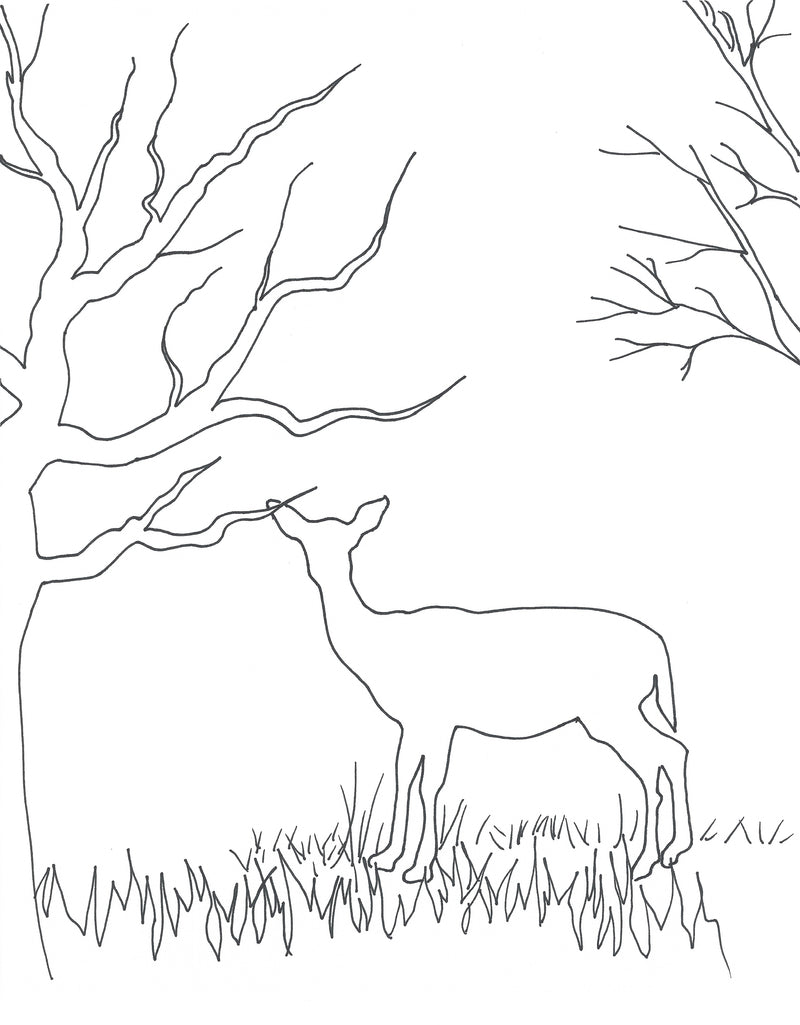 Deer and Elk Couples Paint Kit